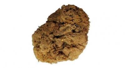 Декоративная штукатурка в интерьере: лучшие варианты + технология нанесения Декоративная штукатурка в интерьере: лучшие варианты + технология нанесения