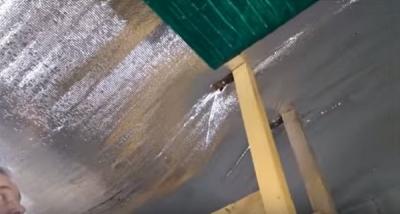 Выращивание грибов в домашних условиях: главные особенности и инструкция для новичков Выращивание грибов в домашних условиях: главные особенности и инструкция для новичков