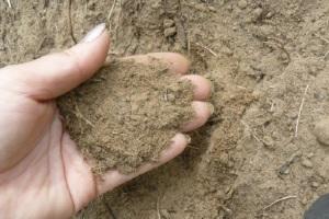 Какой фундамент выбрать для дома из бруса: типы и рекомендации, какой фундамент дома выбрать Какой фундамент выбрать для дома из бруса: типы и рекомендации, какой фундамент дома выбрать