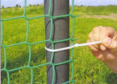 Живая изгородь на даче своими руками: какие растения лучше выбрать, пошаговый процесс монтажа Живая изгородь на даче своими руками: какие растения лучше выбрать, пошаговый процесс монтажа