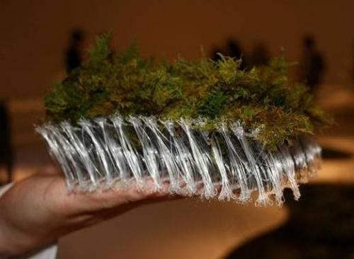 Живой коврик в ванную комнату Живой коврик в ванную комнату