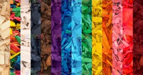 Как посадить пальму на участке Как посадить пальму на участке