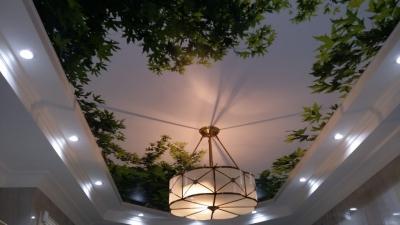 Двухуровневые натяжные потолки. Фото и видео. Плюсы и минусы Двухуровневые натяжные потолки. Фото и видео. Плюсы и минусы