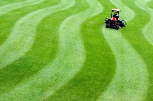 Как правильно стричь газон Как правильно стричь газон