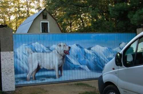 Как украсить забор из профнастила: интересные решения Как украсить забор из профнастила: интересные решения