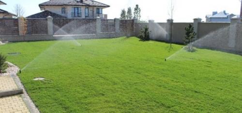 Красивый газон: основные правила ухода Красивый газон: основные правила ухода