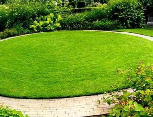 Красивый газон: основные правила ухода Красивый газон: основные правила ухода