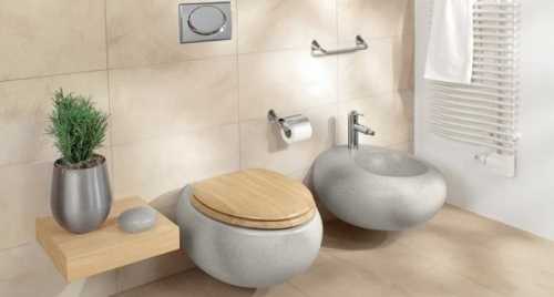 Современные унитазы и их особенности Современные унитазы и их особенности