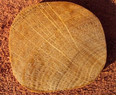 Стол для дачи своими руками: делаем деревянные столы для дачи самостоятельно, изучив пошаговые инструкции