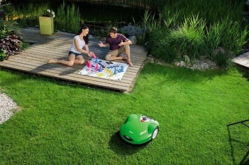 Красивый газон: основные правила ухода Красивый газон: основные правила ухода