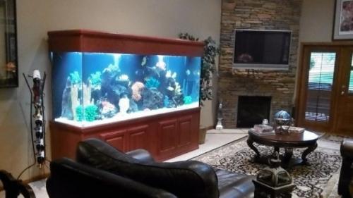 Аквариум в интерьере гостиной Аквариум в интерьере гостиной
