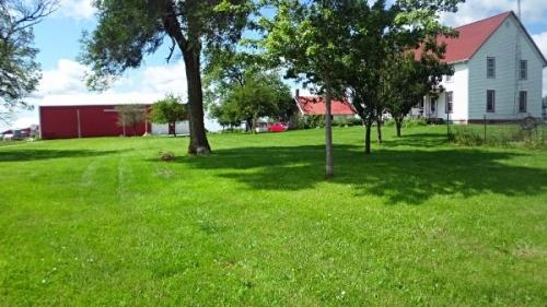 Красивый газон: основные правила ухода Красивый газон: основные правила ухода