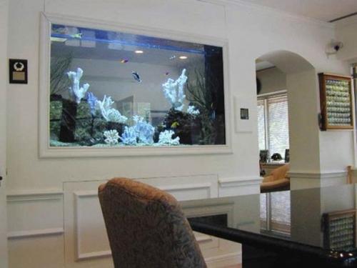 Аквариум в интерьере гостиной Аквариум в интерьере гостиной