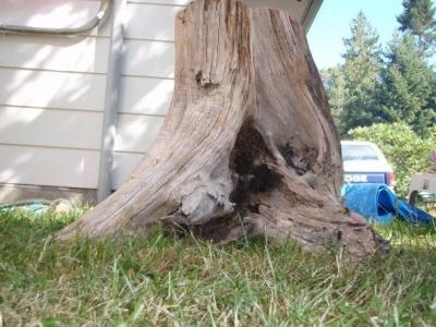 Стол для дачи своими руками: делаем деревянные столы для дачи самостоятельно, изучив пошаговые инструкции