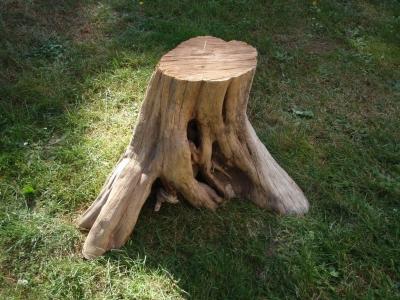 Стол для дачи своими руками: делаем деревянные столы для дачи самостоятельно, изучив пошаговые инструкции