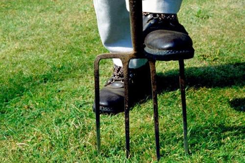 Красивый газон: основные правила ухода Красивый газон: основные правила ухода