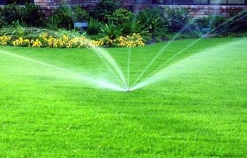 Как правильно поливать газон Как правильно поливать газон