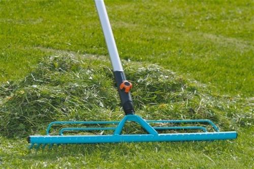 Красивый газон: основные правила ухода Красивый газон: основные правила ухода