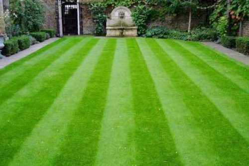 Как правильно стричь газон Как правильно стричь газон