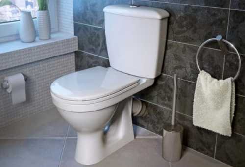 Как выбрать хороший унитаз Как выбрать хороший унитаз