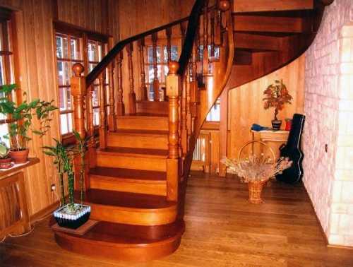 Цвет дуба: какой выбрать Цвет дуба: какой выбрать