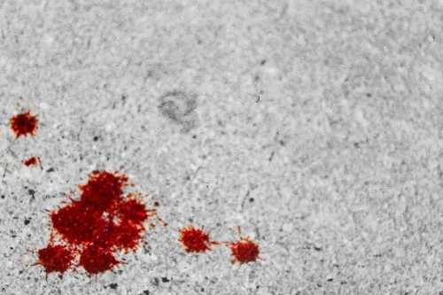 Как почистить диван от пятен Как почистить диван от пятен