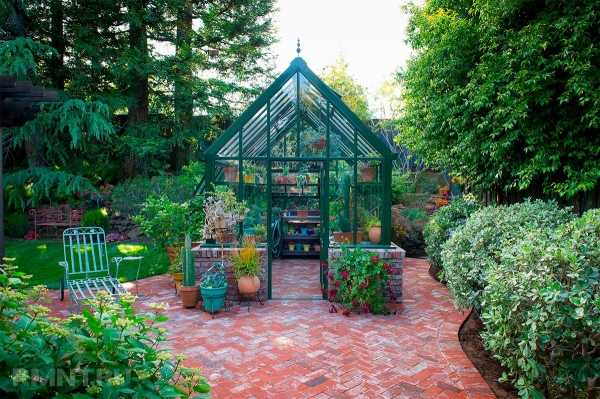 Красивые и эффективные теплицы на участке
Красивые и эффективные теплицы на участке