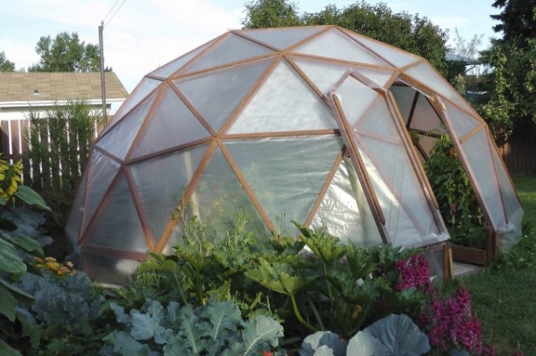 Теплицы своими руками, самые лучшие проекты Теплицы своими руками, самые лучшие проекты